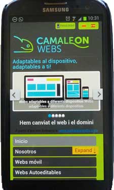 Visualización de una web responsive en un móvil de CamaelonWebs